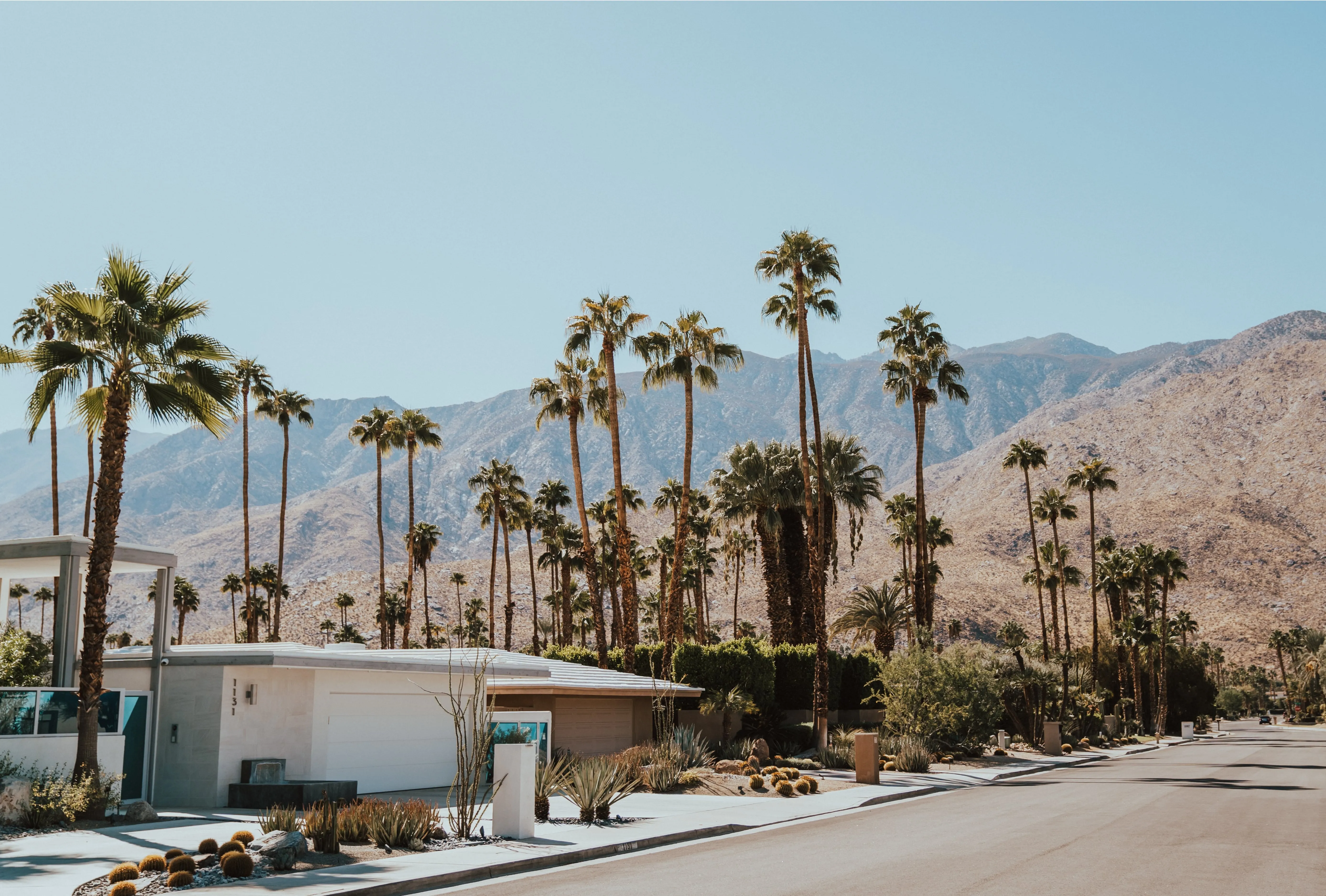 Pest Control in Desert Hot Springs Lloyd Pest Control